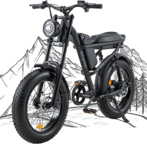 1. Riding'times 1500W Moped Style Electric Bike
