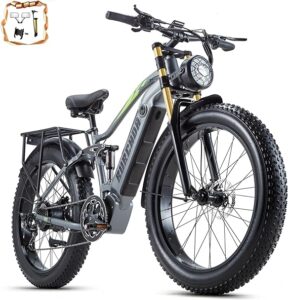2. DAMSON Electric Bike for Heavy Riders