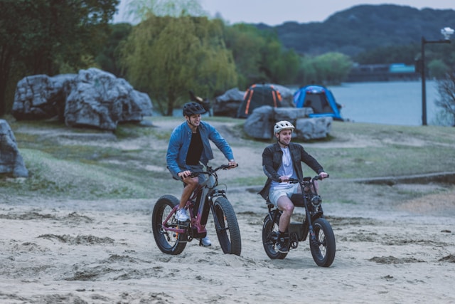 750W vs 1000W eBike