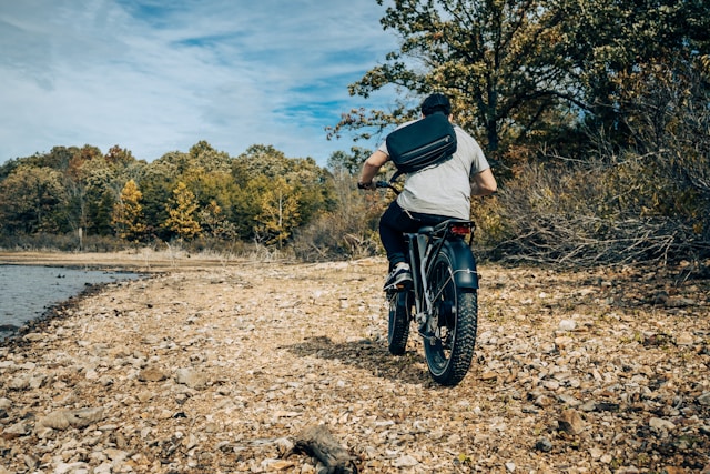 How Do Electric Bike Motors Work?