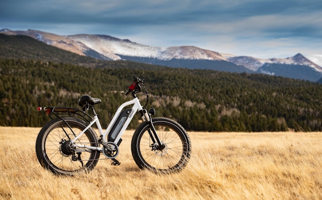 Do All Electric Bikes Have Motors?