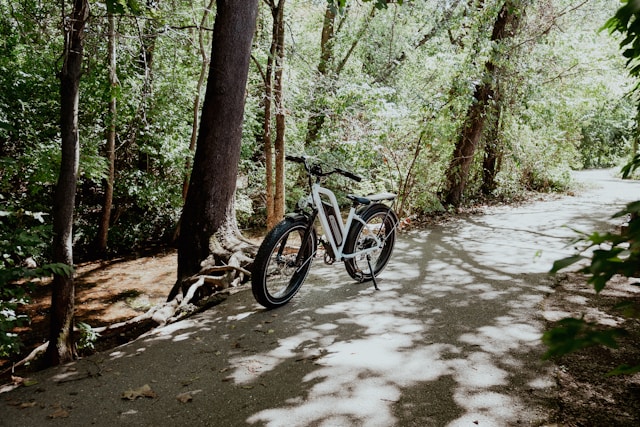 Do Electric Bikes Have Motors?