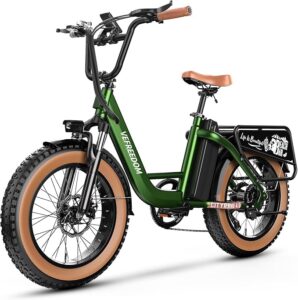 1. EUY Fat Tire eBike