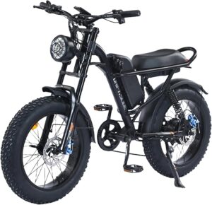 10. DRIFT.SLIDE Fat Tire eBike