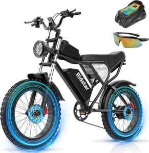 2. Ridstar Fat Tire eBike