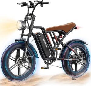 9. VARUN Fat Tire eBike