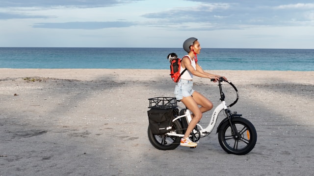 How E-Bikes Operate