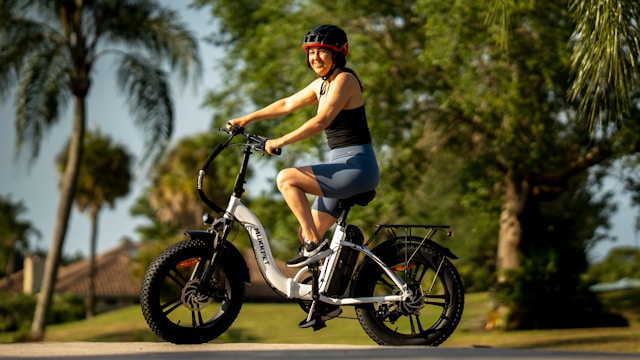 How Do Electric Bicycles Work?