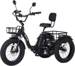 NARRAK Electric Tricycle for Adults