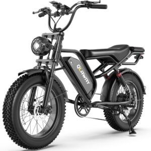 Qlaway 750W Fat Tire Electric Dirt Bike
