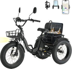 Skeri Electric Tricycle for Adults